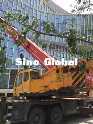 50 Ton Sany Digunakan Truck Crane 58.5mm Mengangkat Tinggi Untuk Konstruksi